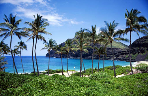  Hawaii Location